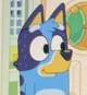 Bluey