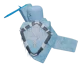 Icy King