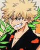Bakugo Katsuki