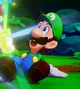 Luigi