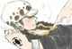 Trafalgar Law