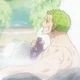 Roronoa Zoro Spa