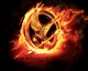 Hunger Games Maker