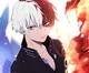 Shoto Todoroki 