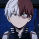 Shoto Todoroki