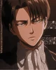 Levi Ackerman 