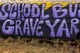 School bus Graveyard