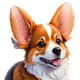 WoofWise