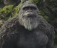Sad Kong