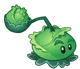 cabbagepult