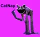 CatNap - BFEC
