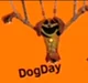 DogDay - BFEC