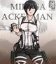 Mikasa Ackerman 