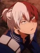 Shoto todoroki 