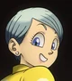 Bulma -Detnox-