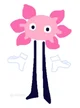 KinitoPET 