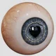 Eyeball