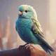 Little Budgie