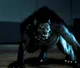 The werewolf 