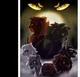- Warrior Cats -