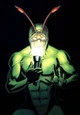 Ambush Bug