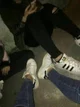 Bbsf GC