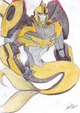 Mer Bumblebee 