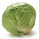 Cabbage 