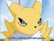 Your Male Renamon 