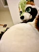 Ian chubby Fursuit 