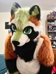 Ian chubby Fursuit 