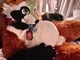 Ian chubby Fursuit 