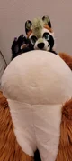 Ian chubby Fursuit 