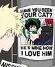MHA cat
