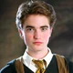 Cedric Digory