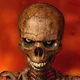 Zerk Off Skeleton