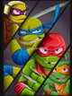 -TMNT Mutant Mayham-