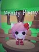 Pretty pony