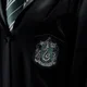 Slytherin chicos 