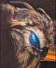 Mothra
