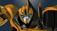 Bumblebee