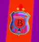 Brujas FC