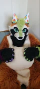 Ian chubby Fursuit 