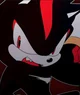 SHADOW THE HEDGEHOG 