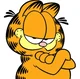 Garfield The Cat