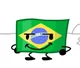 Brazil Flag