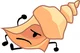 Conch shell