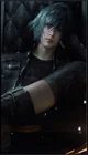 Noctis Lucis Caelum 