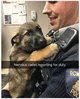 police dog