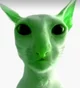 Gleebelskorp